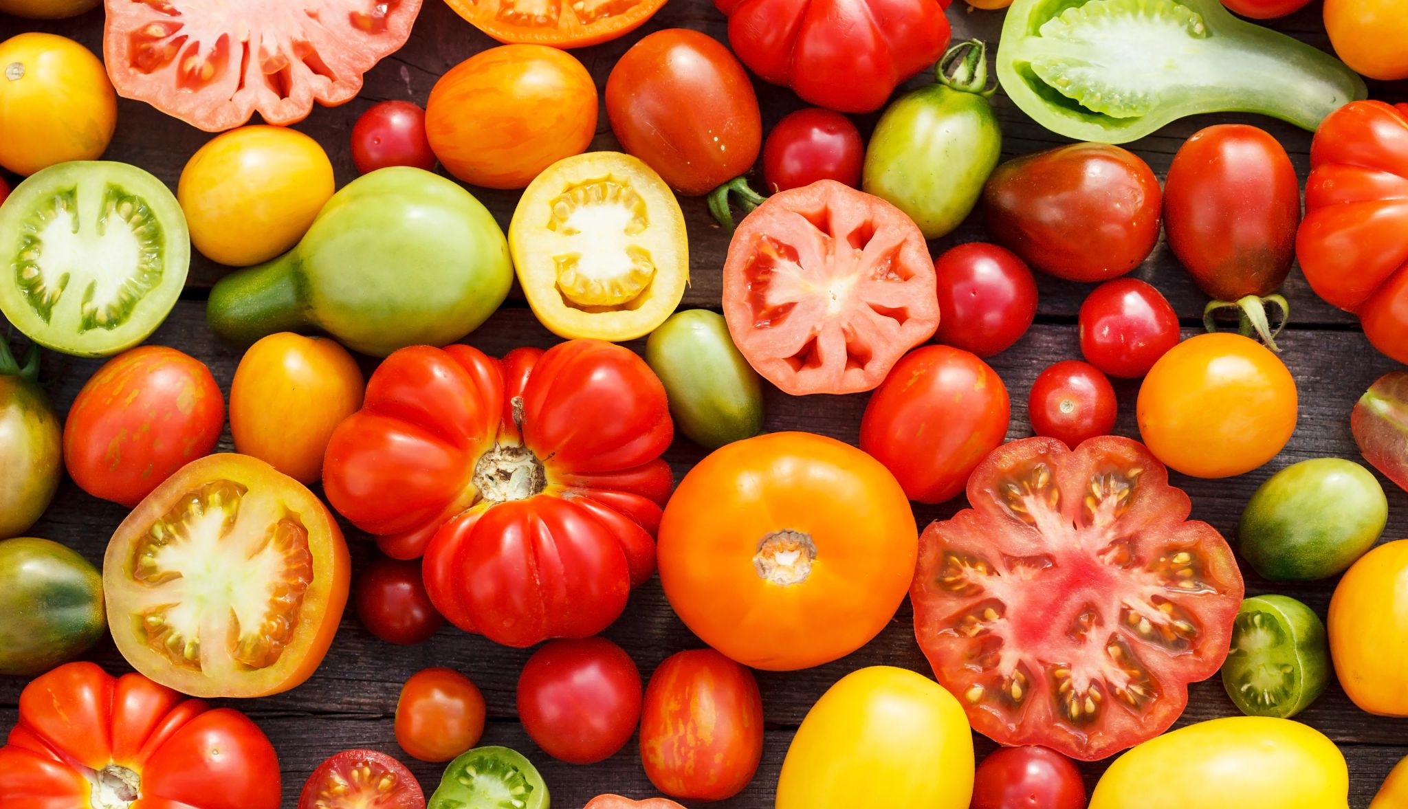 various tomatoes